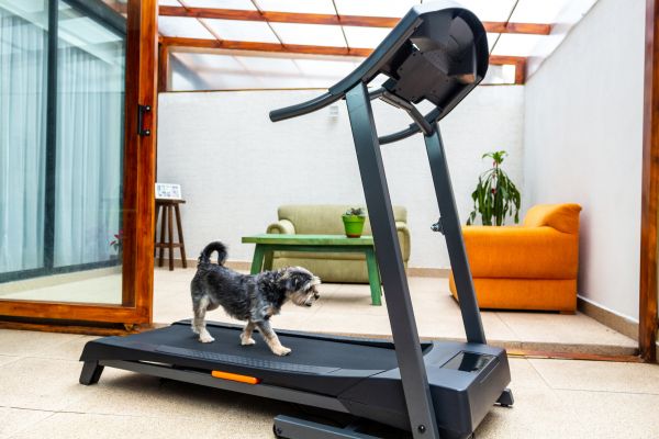 Treadmill Installation in East Lansing