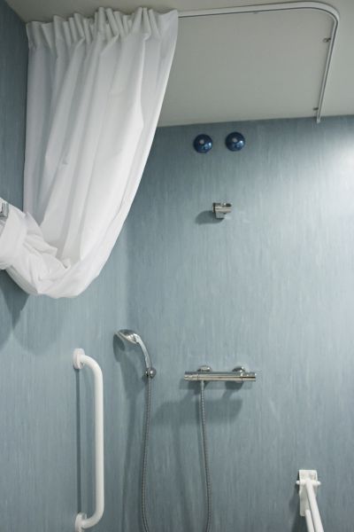 Shower Rail Installation in East Lansing