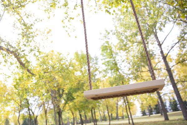 Tree Swing Installation in East Lansing