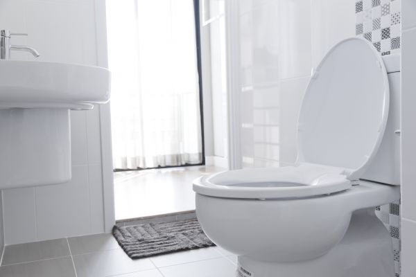 Toilet Seat Installation in East Lansing