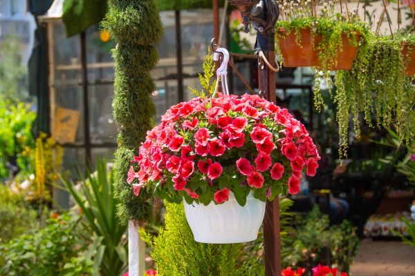 Hanging Planter Installation in East Lansing