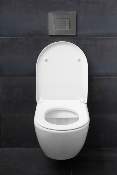 Toilet Lid Installation in East Lansing