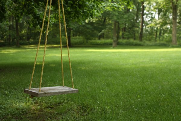 Rope Swing Installation in East Lansing