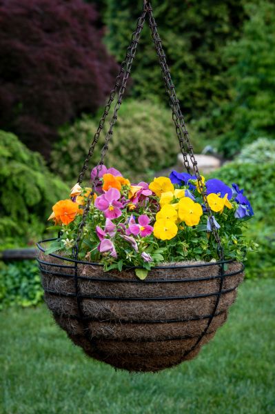 Hanging Basket Installation in East Lansing