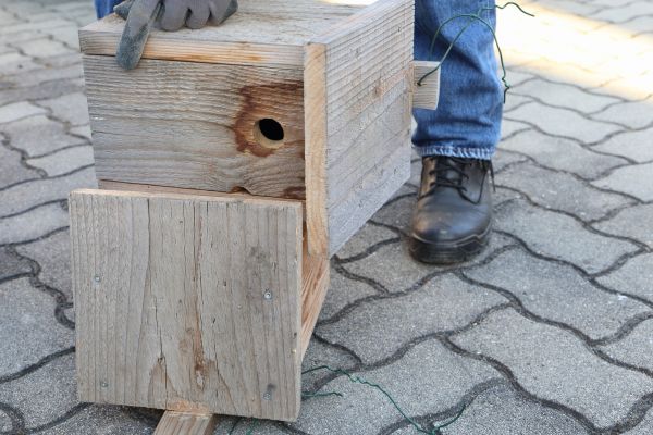 Birdhouse Mounting in East Lansing