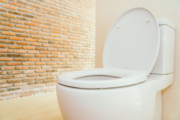 Toilet Seat Repair in East Lansing